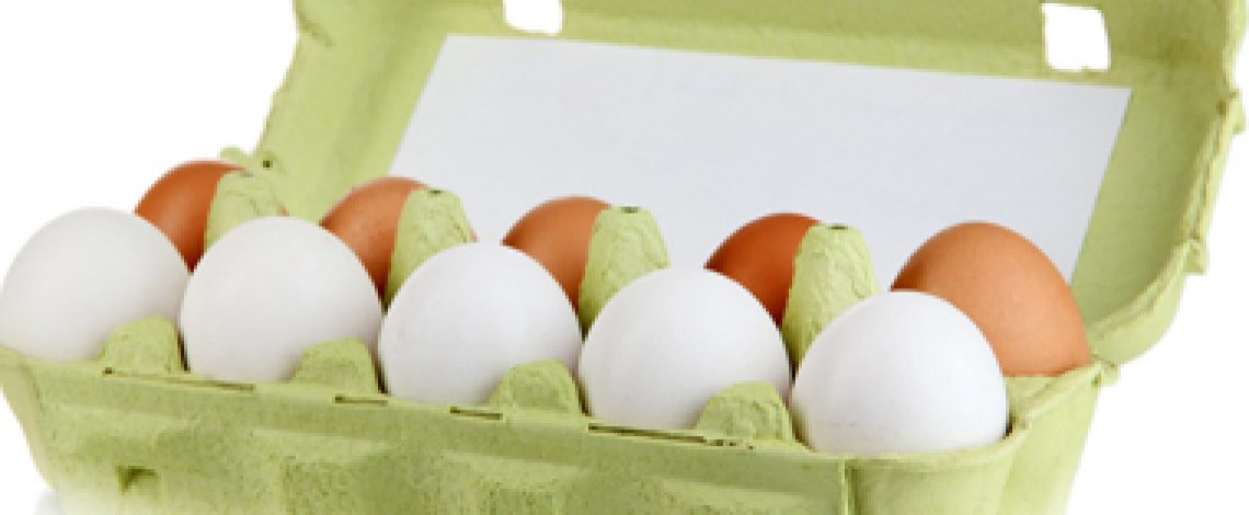 Producción de huevos (situación y perspectivas)