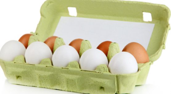 Producción de huevos (situación y perspectivas)