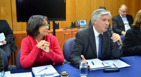 Se reimpulsó la Comisión Nacional de la Carne Bovina