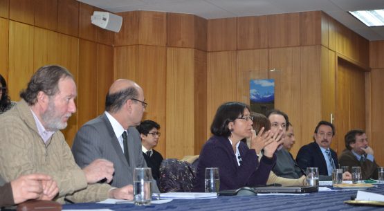 Presidida por el ministro (s) de Agricultura, Claudio Ternicier, se reactivó la Comisión Nacional del Trigo