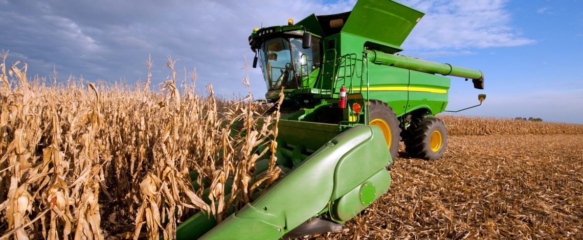 Maíz: alza en precios nacionales