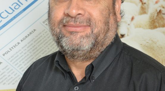 En la entrevista radial de Odepa, Guillermo Pino habla sobre la información disponible en el sitio web de Odepa