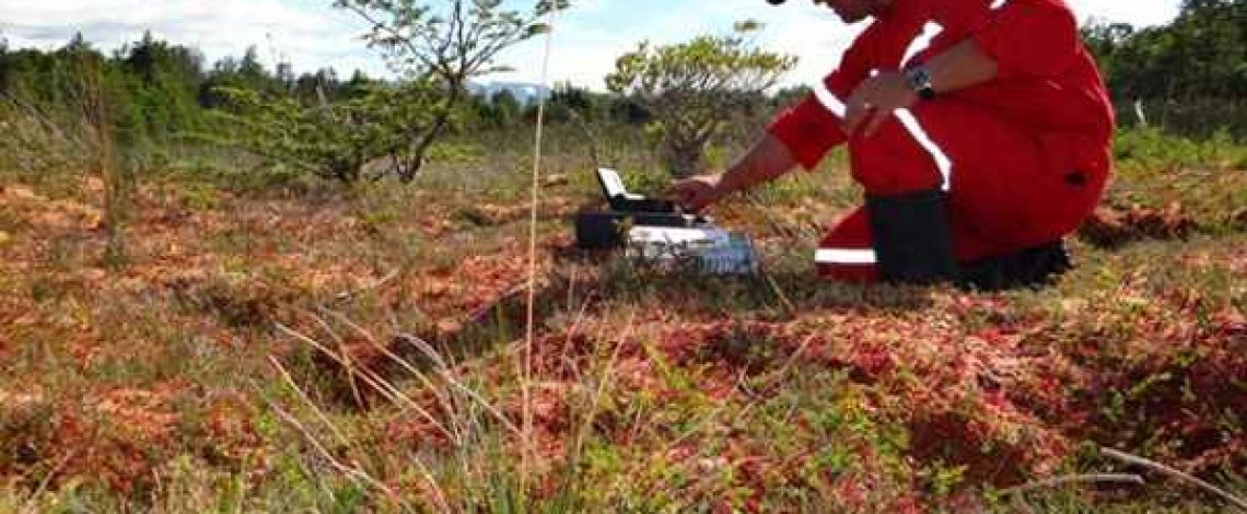 Reunión de trabajo entre Odepa, Seremi de Agricultura de Magallanes e INIA Kampenaike: el musgo Sphagnum, un recurso silvoagropecuario