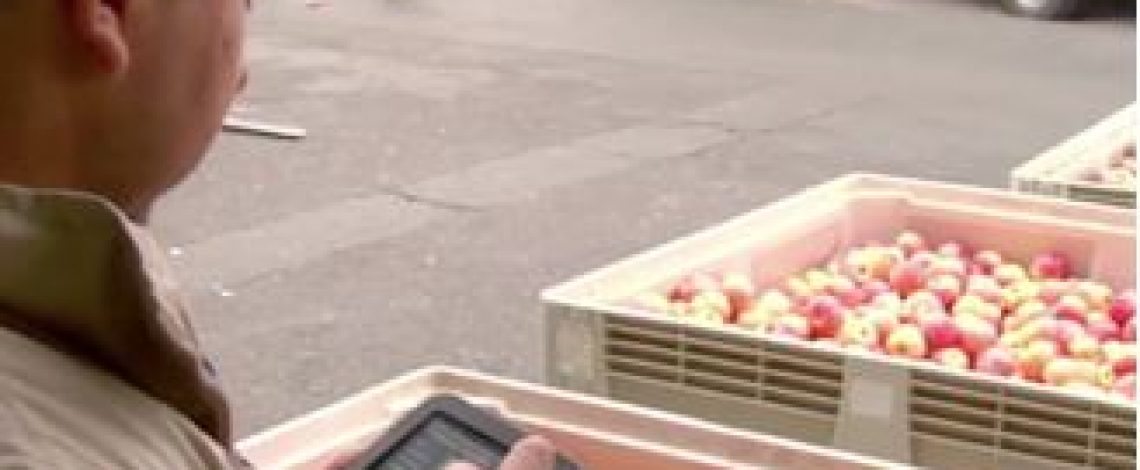 Odepa amplía captura de precios de frutas y hortalizas a la IV y V Región