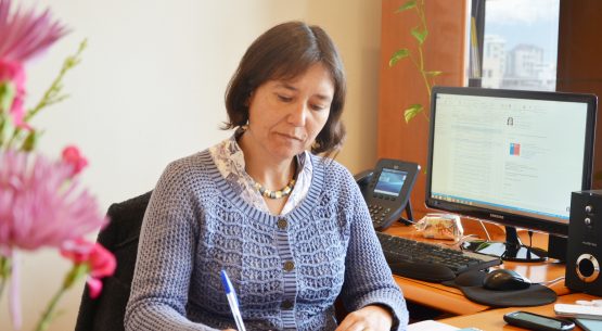 Comparado con igual período de 2014: Exportaciones de manjar aumentaron 3,2% en el primer semestre de 2015