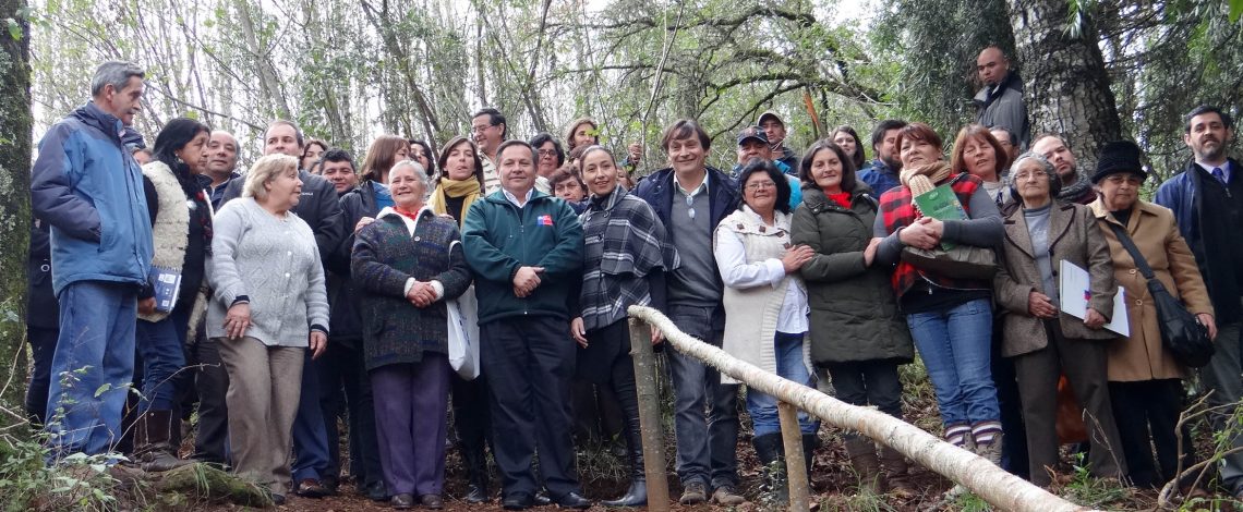 Odepa participó en la constitución de la Comisión Regional de Agricultura Orgánica de la Región de Los Ríos