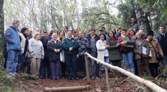 Odepa participó en la constitución de la Comisión Regional de Agricultura Orgánica de la Región de Los Ríos