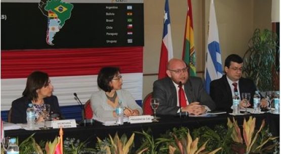 Consejo Agropecuario del Sur (CAS) da inicio a XXVIII Reunión en Paraguay. Directora de Odepa representa al ministro de Agricultura