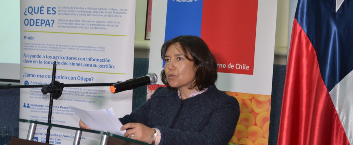 En Quillota, directora de Odepa, Claudia Carbonell, reafirmó compromiso con las regiones, y dio a conocer el trabajo de captura de precios en los mercados mayoristas y minorista en la Región de Valparaíso
