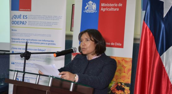 En Quillota, directora de Odepa, Claudia Carbonell, reafirmó compromiso con las regiones, y dio a conocer el trabajo de captura de precios en los mercados mayoristas y minorista en la Región de Valparaíso