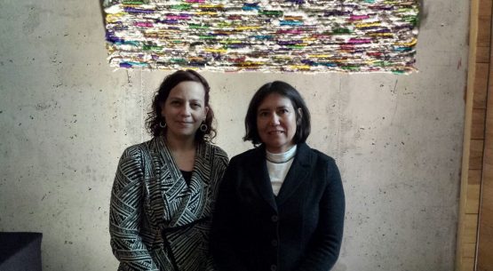 Claudia Carbonell, directora de Odepa se reunió con Josefina Berliner, directora ejecutiva de Fundación Artesanías de Chile