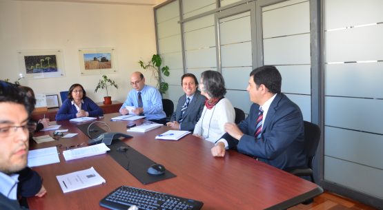 Claudia Carbonell, directora de Odepa, y la Unidad de Monitoreo y Transparencia de Mercados de la institución se reunieron con representantes de la Fiscalía Nacional Económica