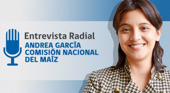 En la entrevista radial de Odepa, Andrea García comenta sobre la reciente reunión de la Comisión Nacional del Maíz