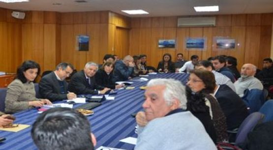 Subsecretario Claudio Ternicier presidió una nueva sesión de la Comisión Nacional del Maíz. La secretaría técnica está a cargo de Odepa