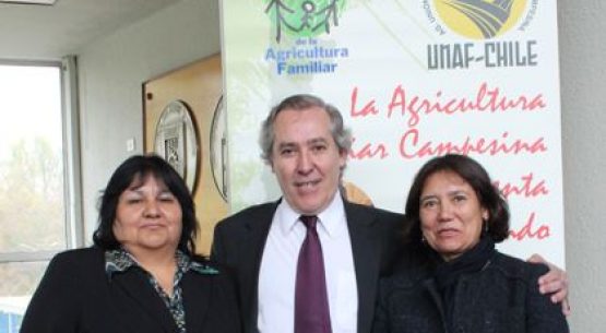 Claudia Carbonell, directora de Odepa; Octavio Sotomayor, director de Indap; Olga Gutiérrez, presidenta de Codema, participaron en el seminario: “Fortalecimiento del canal Agroalimentario y Pesquero, agente fundamental para la alimentación sana de los chilenos”