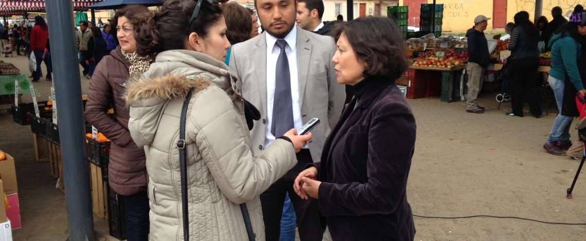 REGIÓN DE COQUIMBO ELEGIDA POR ODEPA PARA CAPTURAR PRECIOS EN MERCADOS MAYORISTAS Y MINORISTAS