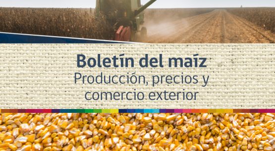 Boletín del maíz: producción, precios y comercio exterior. Enero de 2015