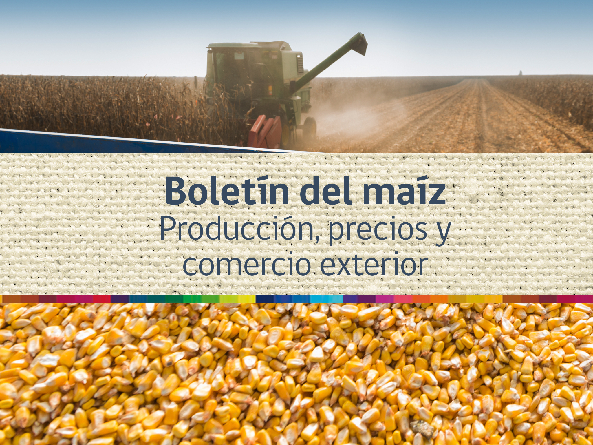 Boletín del maíz: producción, precios y comercio exterior