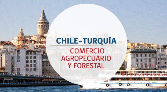 Chile–Turquía: comercio agropecuario y forestal. Octubre de 2014