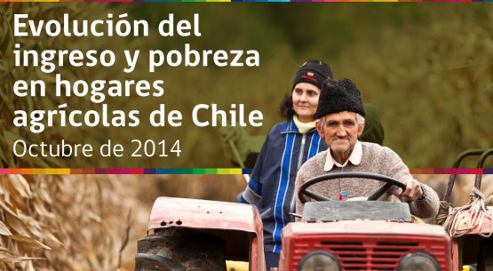 Evolución de los índices de  desigualdad y subsidios en hogares agrícolas de Chile (2000-2011). Octubre de 2014
