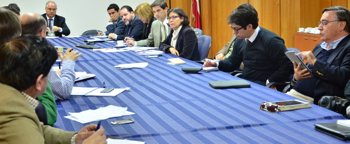 Hoy, con la conducción de la directora de Odepa, Claudia Carbonell, se constituyó la Comisión Internacional, de carácter público-privado