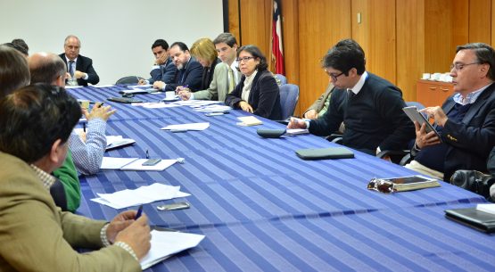 Hoy, con la conducción de la directora de Odepa, Claudia Carbonell, se constituyó la Comisión Internacional, de carácter público-privado