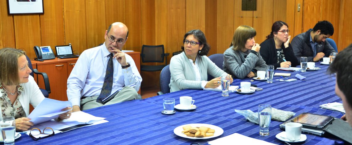 Claudia Carbonell, directora de Odepa, presidió una reunión, cuyo objetivo fue contar con antecedentes técnicos y jurídicos para implementar o mejorar las opciones para el manejo de rastrojos en la agricultura.