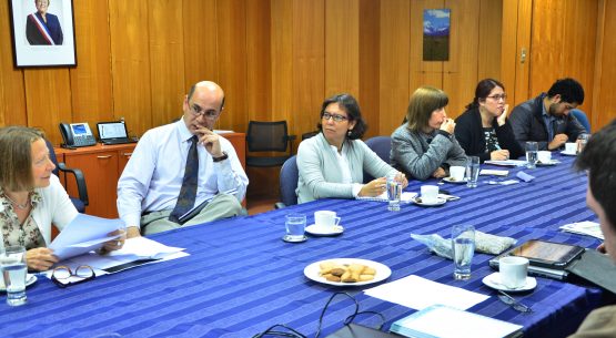 Claudia Carbonell, directora de Odepa, presidió una reunión, cuyo objetivo fue contar con antecedentes técnicos y jurídicos para implementar o mejorar las opciones para el manejo de rastrojos en la agricultura.