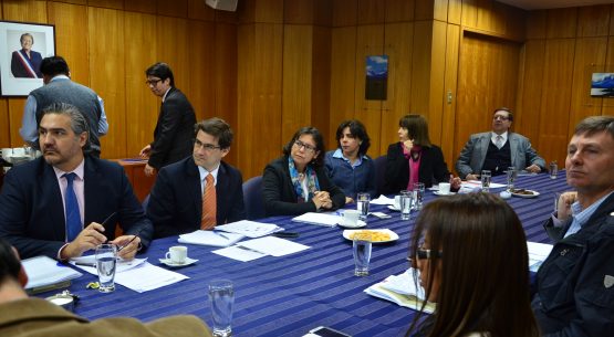 Se efectuó una reunión de la subcomisión de Mercado Interno