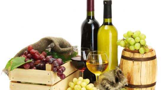 Claudia Carbonell: El valor de las exportaciones de vinos finos aumentó en 12,4% en enero-febrero de 2017