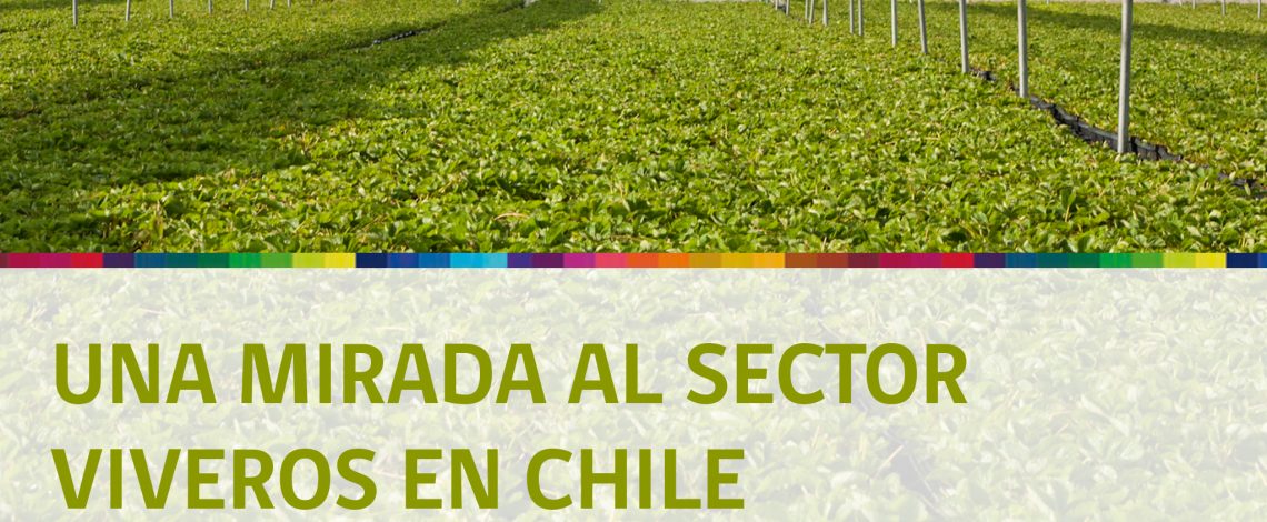 Una mirada al sector viveros en Chile. Noviembre de 2014