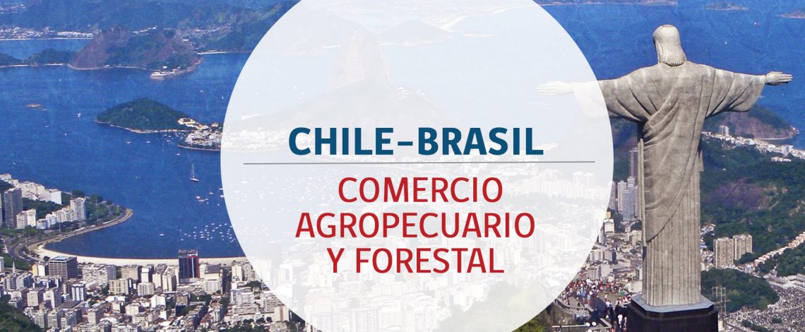 En enero-septiembre de 2024, las exportaciones silvoagropecuarias a Brasil crecieron 42%, al comparar con igual periodo