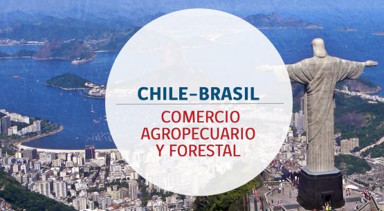 Chile–Brasil: comercio agropecuario y forestal. Noviembre de 2014