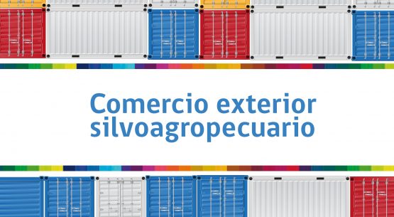 Boletín de Comercio exterior silvoagropecuario 2010-2012