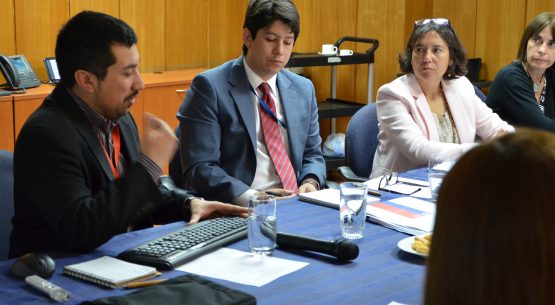 Con la participación de Claudia Carbonell, directora de Odepa, sesionó la Comisión Nacional de Apicultura