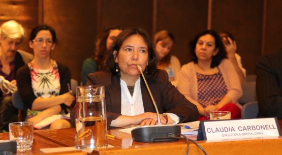 Claudia Carbonell, directora de Odepa, dictó la conferencia: “Observación de las transformaciones estructurales de la agricultura familiar y los desafíos para la política pública”