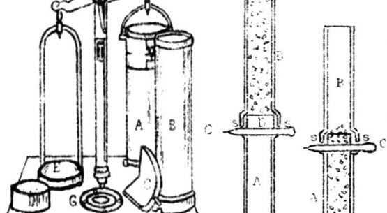 Reglamento especial para el trigo, en el marco de la Ley N° 20.656