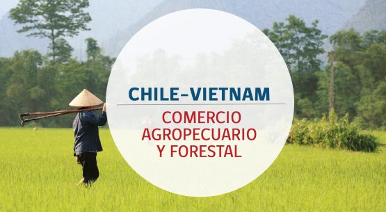 Chile–Vietnam: comercio agropecuario y forestal. Diciembre de 2014