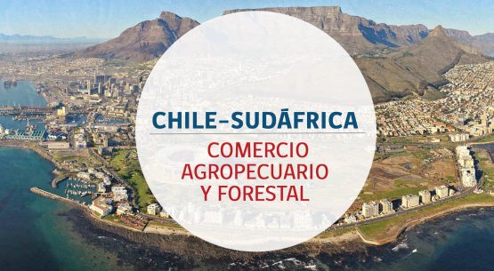 Chile–Sudáfrica: comercio agropecuario y forestal. Diciembre de 2014