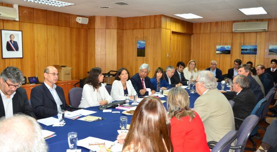 Encabezada por Claudia Carbonell se realizó la segunda reunión de la Comisión Nacional para la Ganadería de la Carne