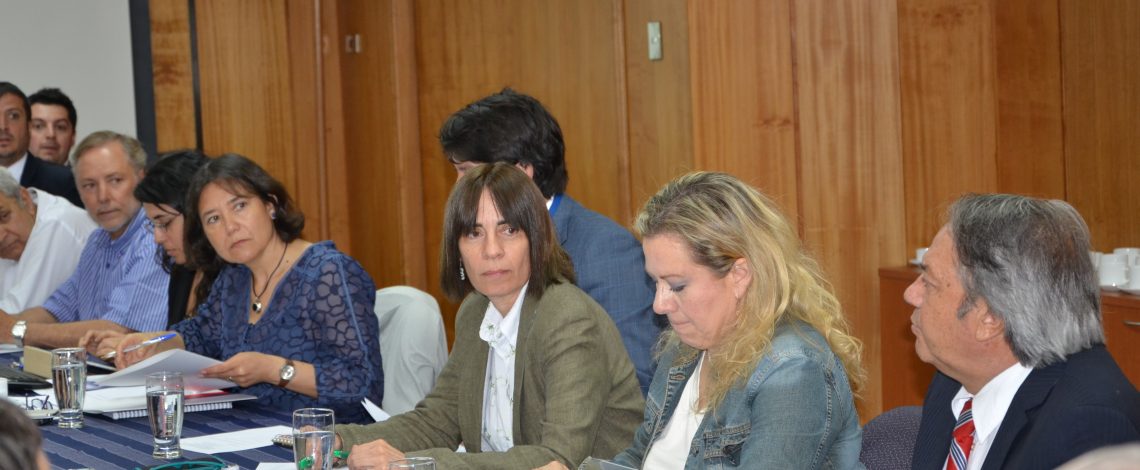 Encabezada por la directora de Odepa, Claudia Carbonell, se reunió la Comisión Nacional de Frutos Secos y Deshidratados