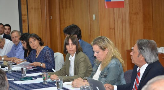 Encabezada por la directora de Odepa, Claudia Carbonell, se reunió la Comisión Nacional de Frutos Secos y Deshidratados
