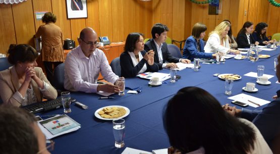 Encabezada por el subsecretario de Agricultura y conducida por la directora de Odepa, sesionó la Comisión Nacional del Sector Hortícola