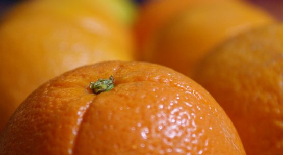 Naranjas: una alternativa de exportación