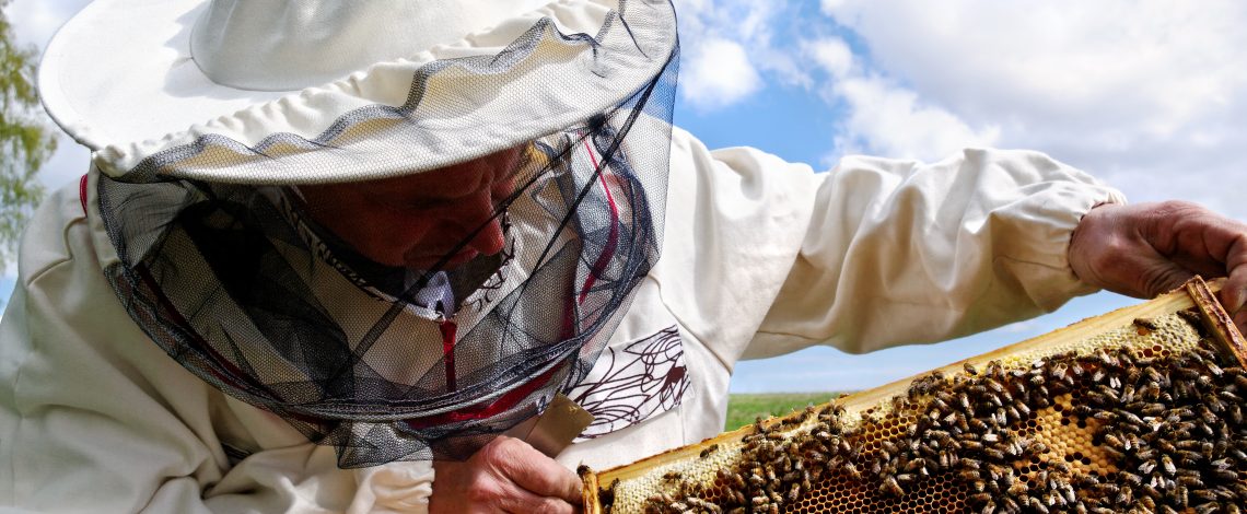 Temporada apícola 2023 – 24