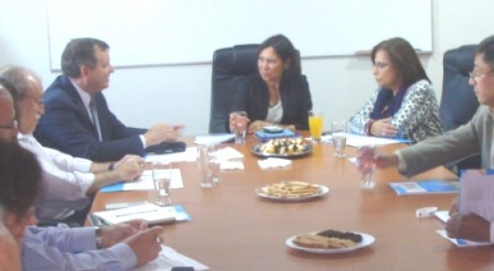 Con la conducción de la directora de Odepa, Claudia Carbonell, REDPA realizó su XXXIX Reunión Ordinaria