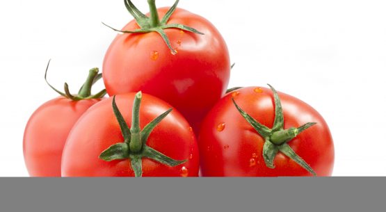 El mercado del tomate para consumo fresco. Diciembre de 2015