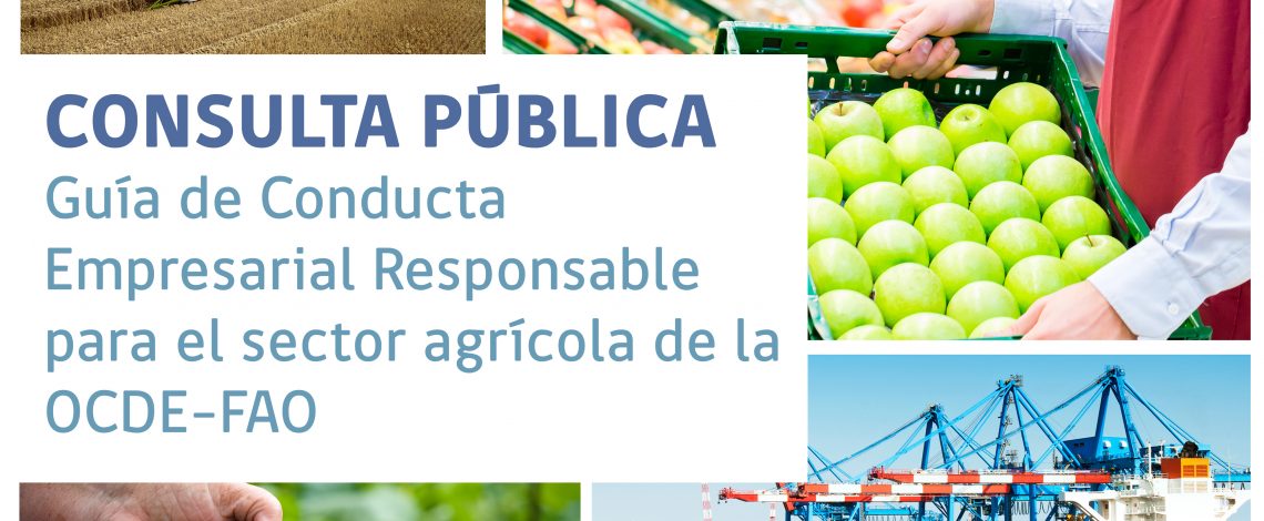 ¡Participa en consulta pública sobre la Guía de Conducta Empresarial Responsable para el sector agrícola de la OCDE-FAO!