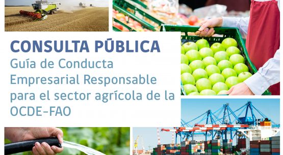 ¡Participa en consulta pública sobre la Guía de Conducta Empresarial Responsable para el sector agrícola de la OCDE-FAO!