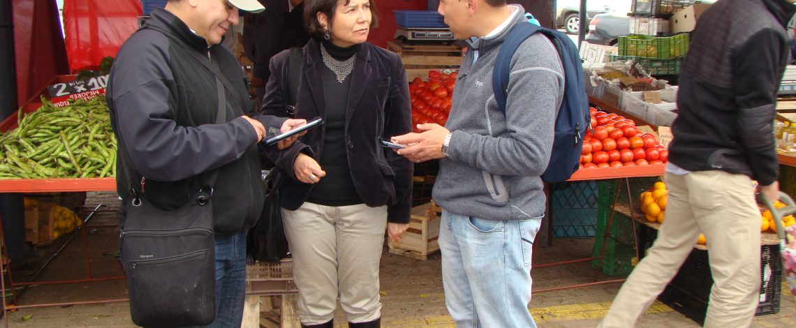 Odepa: Precios al consumidor en línea tanto de Santiago como de regiones